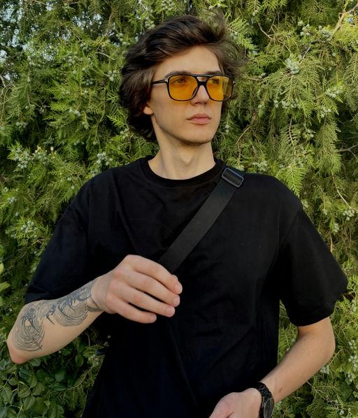 Дмитрий Анисимов